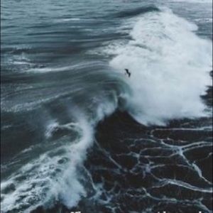 Meet your Posher, Summer